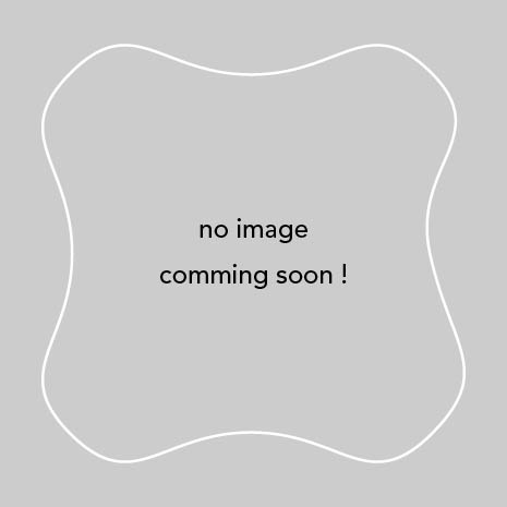 コピー・紙媒体 NYアップルガイド